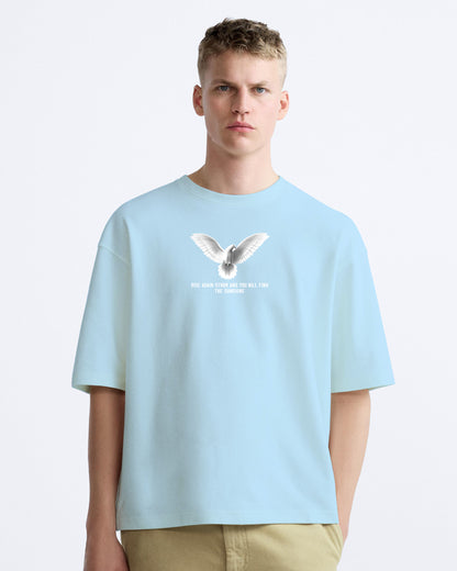 Rise Again pigeon sky oversized tshirt.